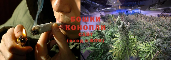 трава Болотное