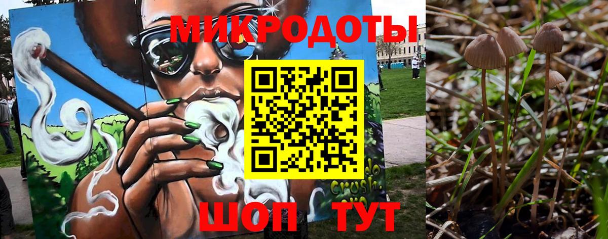 закладка  Псилоцибиновые грибы Magic Shrooms  Ишим  Вход с VPN  Псилоцибиновые грибы MAGIC MUSHROOMS 