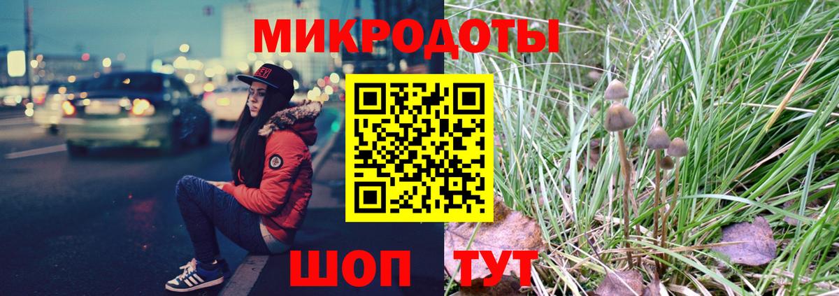 Галлюциногенные грибы Cubensis Ишим