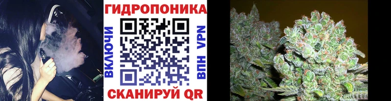 Бошки марихуана планчик  mega ссылки  Ишим 